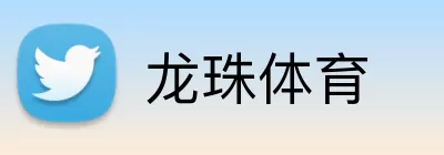 龙珠体育 Logo